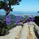 용문산마트
