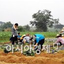 신태인읍사무소 이미지