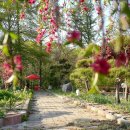 버들농원 이미지