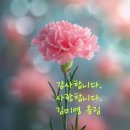 조례주공8단지경로당 | 5월 8일 어버이날-!