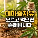 대신씨앤에스 | 대마종자유 효능 부작용 제대로 알면 몸이 달라집니다? 먹기 전 꼭 알아야 할 핵심 정리