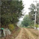 뜰안에 민박 이미지