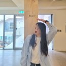 댕프로 이미지