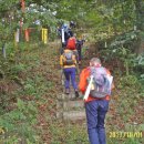 정봉아농장 이미지