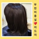 부천미용실 미드미에서 전체염색 새치염색 후기 By 알렉스원장님