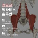 [서울] 장요근(Iliopsoas) 필라테스 솔루션 교육강좌 안내 - 2023년 10월 28일 이미지