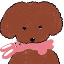 방울이네 펫살롱 이미지