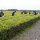 무릉2리마을회관 이미지