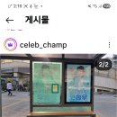 셀럽챔프 버스쉘터광고장소 이미지