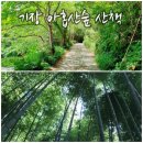 9월8일(토) 부산 기장 아홉산숲 산책 이미지