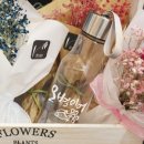 오병이어 이미지