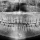 내원백운 이미지