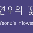 연우실크