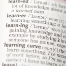 파인슐레 국제 어학원 이미지