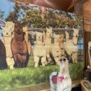 미영목장2 이미지