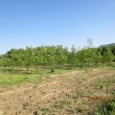 다다한정식 이미지