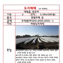 상모리-8 이미지