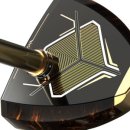 파크골프(중급) 이미지