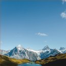 허니치킨 이미지