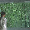 와호장룡
