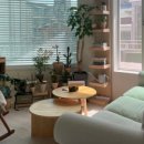 궁남로스테이 이미지