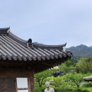최참판댁내 네이버블로그