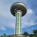 대흥자원 | 완도 가볼만한곳 완도 여행코스 추천 Best 5