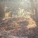 덕림사 | 전라도정자詩로 만난 인물-정동채(鄭東采)