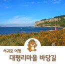 대평리시장 | 서귀포 여행 이국적인 정원과 바다뷰 대평리마을 산책길 추천