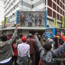 케냐빈 이미지