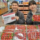 설향이야기 이미지