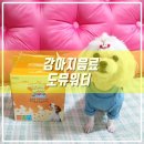 도기뮤니티 | 애견음료/일주일 건강프로젝트 도뮤워터