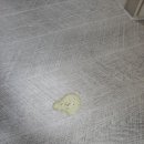 고득영동물병원 이미지