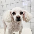 반자주 진해점 이미지