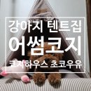 코지하우스 켄넬 네이버블로그