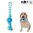 덴탈투유 이미지