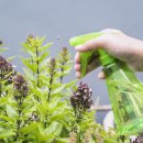 순수스토리 이미지