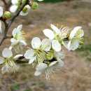 김국환농장 이미지