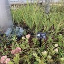 이응다리 산책로 이미지