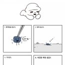 푸른하제 이미지
