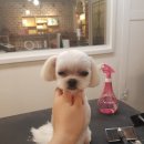 예뻐지개 이미지