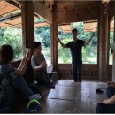 해향민박 | 보길도의 아침 그리고 윤선도...