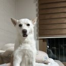 씨유 진도한결점 | 📑연구실 기록😵_프로포절 에피소드(5.8~5.18)