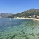 스테이캄 이미지