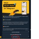 메가코인 이미지