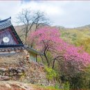 우리나라에서 가장 많은 16명의 국사를 배출한 천년사찰" 수행의 성지라 불리는 사찰 명소 이미지