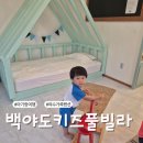 플로리다 봉봉 이미지