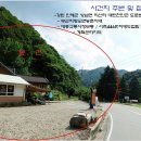 내린천민박 Daum카페