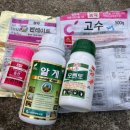 용고개농장 이미지