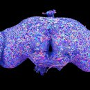 뉴런테크 이미지